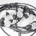 LS-168   LED cafe holiday string lights